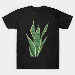 Snake Plant Sansevieria Dracaena House Plant Painting Trifasciata T-Shirt